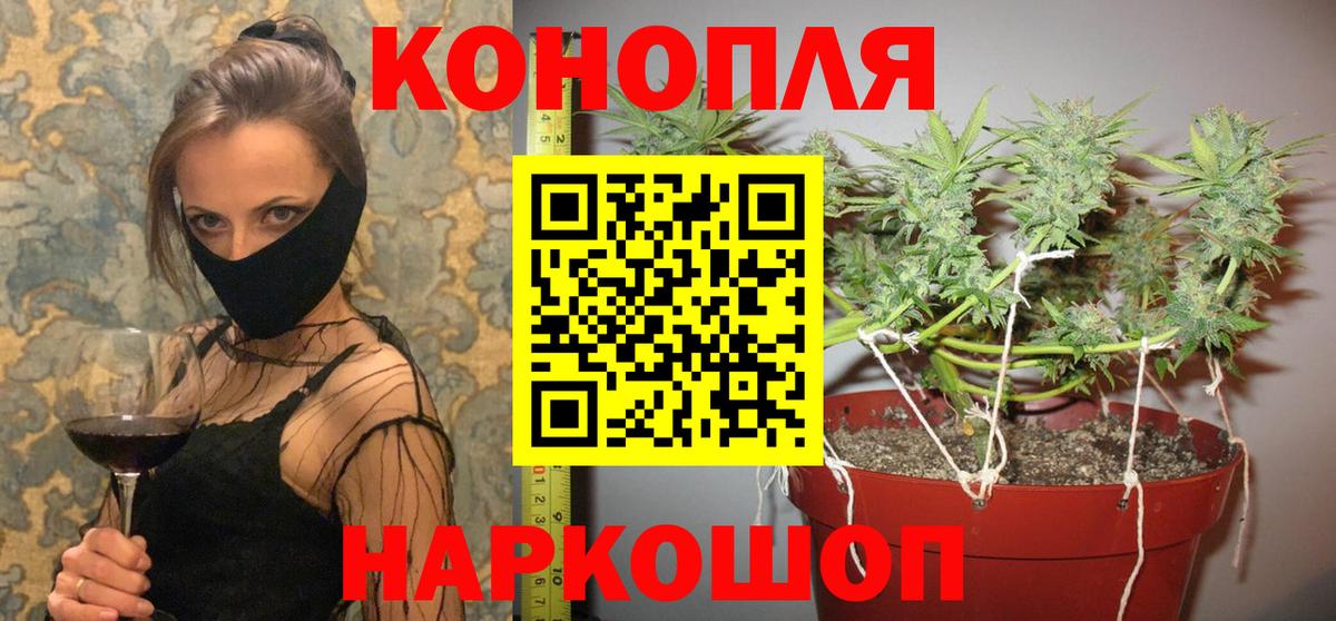 Бошки марихуана семена Владимир